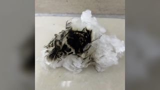 Биоразлагаемый высокий огнестойкий штапель 1.33D*38MM из лиоцелла, равномерное отрезное волокно для прядения и Nonwo