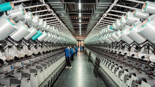 Последние новости компании о Различия между хлопковыми и полиэфирными волокнами: глубокий профессиональный анализ