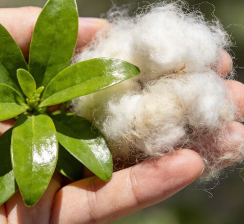 Последние новости компании о Черно-белые полые волокна: выбор для текстильной и промышленной промышленности